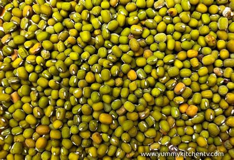 mongo seeds in english|Mung bean .